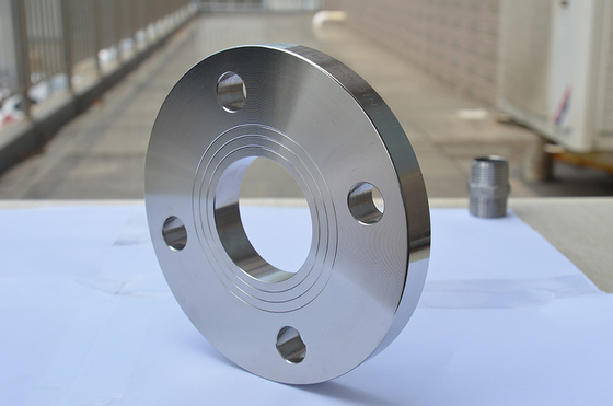 Jadi Wn Blind Flange Din En 1092-1 Tipe 01 Tipe 11 P250gh P245gh P280gh