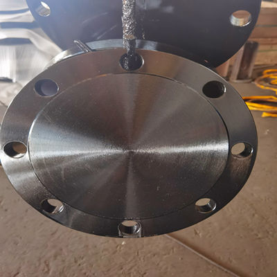 Kelas B Kelas D AWWA C207-07 Cincin Blind Flange A105N F304 304L F316 316L