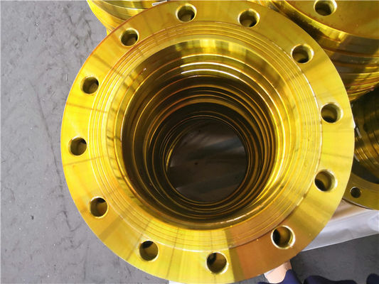 Hot Forging Steel FLANGE BS 4504 BS10 PN6 PN10 PN16 PN25 PN40 SORF Plate Blind