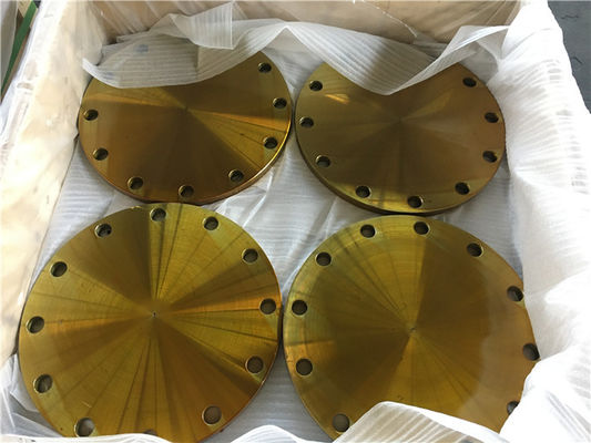 SS400 SUS304 SUS316 Forged Steel Flange JIS B2220 5K 10K 16K 20K 30K 40K SLIP ON BLIND