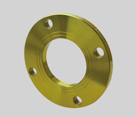 Slip Pada PN6 PN40 CARBON STEEL FLANGE DIN2573 2576 2502 2503 Flange Datar Untuk Pengelasan